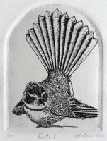 Fantail