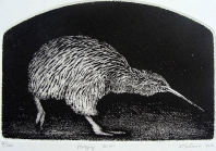 Foraging-Kiwi