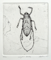 Longhorn-beetle