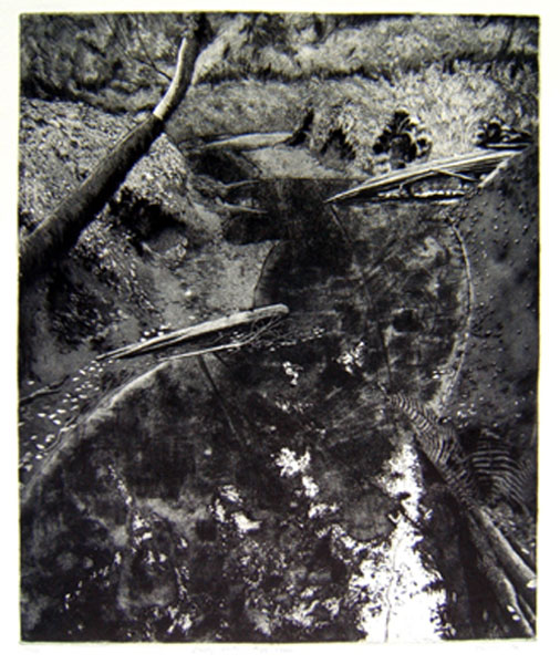 1-etching-Cloudy-Water-Tryon-Creek-1996