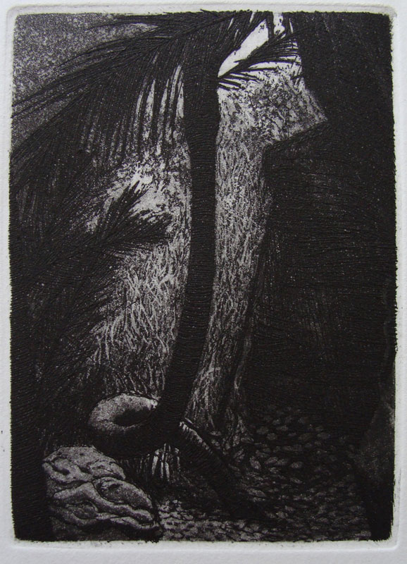 8-etching-Twisted-Nikau-2010