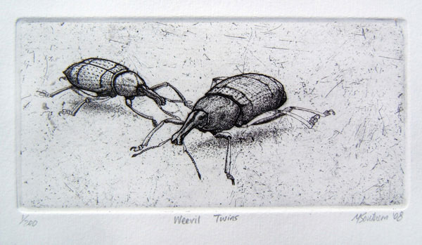 Weevil-Twins