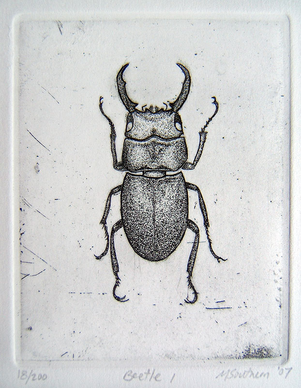 Beetle-1