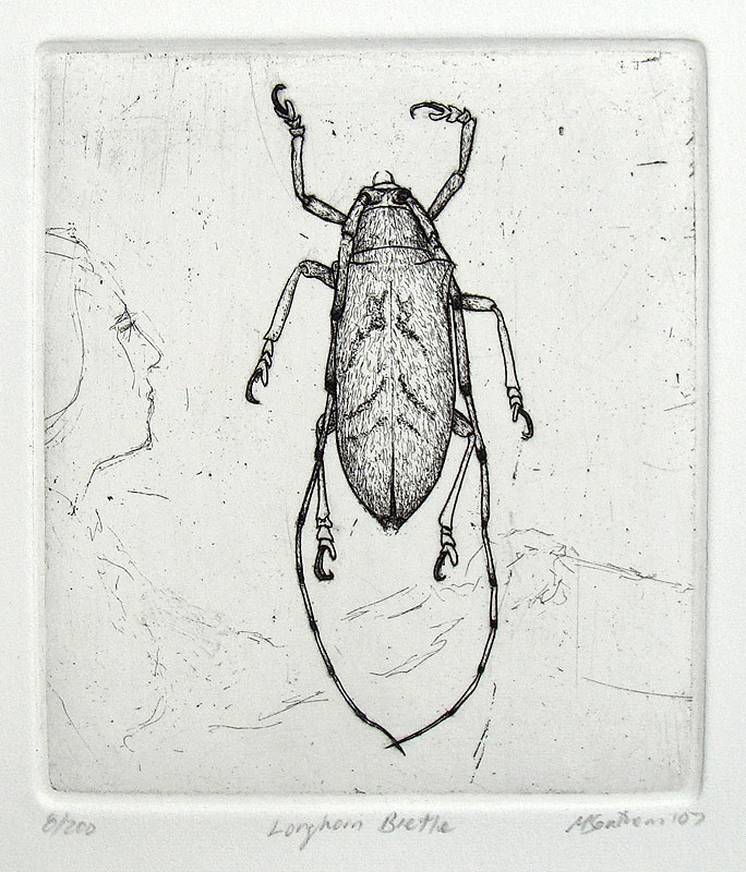 Longhorn-beetle